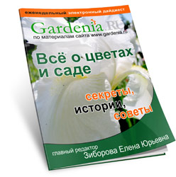     Gardenia.ru ':   '