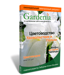     Gardenia.ru ':   '