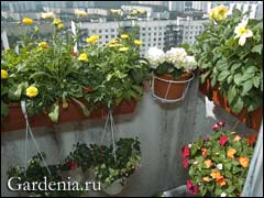 Как сделать из балкона сад: 7 вариантов