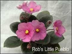 Rob's Little Pueblo.    . 